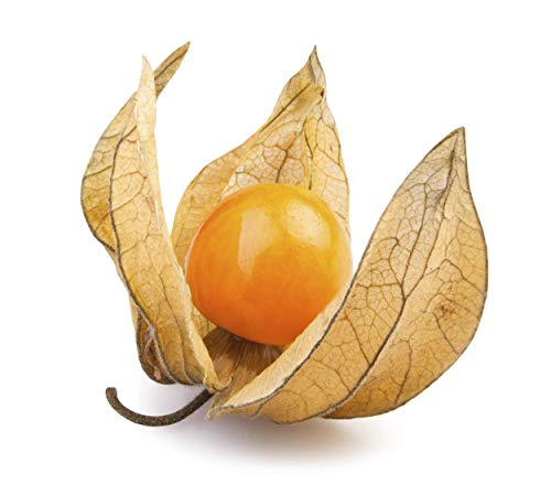 Ground Cherry Tomatillo 125 Seeds Or 1/4 Gram - Heirloom Non Gmo Cape Gooseberry Seeds, Golden Berry Plant Seeds, Vegetable Seeds For Planting, Cherry Fruit Physalis Seeds #TOP3