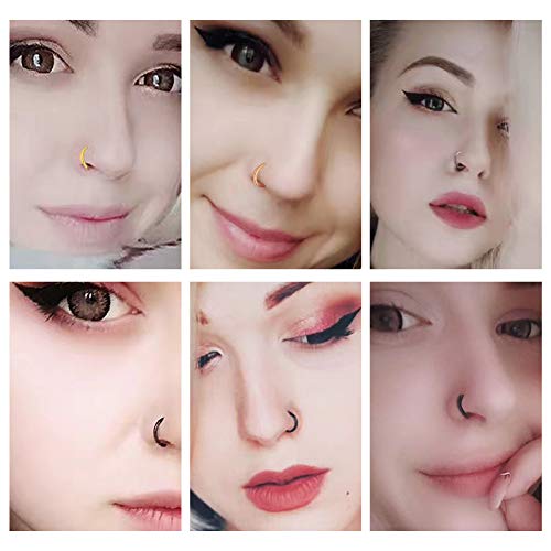Wbrwp 316L Stainless-Steel Piercing-Ring Hinged Nose-Rings-Hoop : 20G Womens And Mens Body Pierecing Ring Segment Clicker Lip Rings Cartilage Rook Earrings Diameter 6Mm 8Mm 10Mm 12Mm Black #TOP4