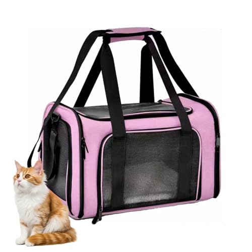 JEJIET ybgL[ obO Lp p  ^p ܂ 4way y 3ʒʋC 􂦂 L L[pL[obN яoh~[ht xgE 􂦂}bg e o ԍ s ʉ@ dԈړ ω׏d8KG 