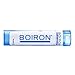 Sepia 1M Boiron 80 Pellet