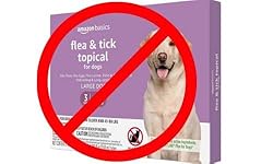 Review Image by Tim Howard Tim Howard