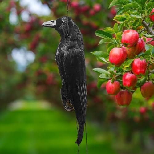 Leurre corbeau pour verger et décoration hantée d'Halloween