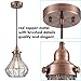 YUBOLE Pendant Lighting Cracked Glass Vintage Wire Cage Ceiling Pendant Light, Red Antique Copper