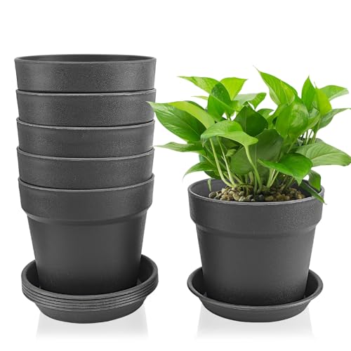 Lrocotanc Set de 6 macetas Decorativas Interior 14,5 cm con Plato – Maceteros Exterior de plástico, con múltiples Agujeros de Drenaje, Ideales para suculentas y Cactus, Color Negro