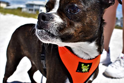 Image of Classic Dog Harness Innovative Mesh No Pull No Choke Design Soft Double Padded Breathable Vest for Eco-Friendly Easy Control Walking Quick Release for Puppies Toy Breeds & Medium Dogs (Med, Orange)