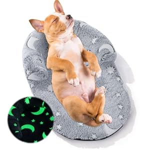 MABOZOO Dog Bolster Pillow, Glow in The Dark Doggy Calming Cushion Doggy Neck Cushion with Washable Cover, Pet Bed Pillow for Large, Medium Dog & Cat (16 * 10 in)