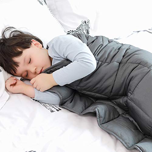 Fabula Life Adult Weighted Blanket(12Lbs, 72”X48”, Twin Size), Heavy Blanket With Premium Breathable Cotton And Micro Glass Beads, Calm Deep Sleep #TOP1