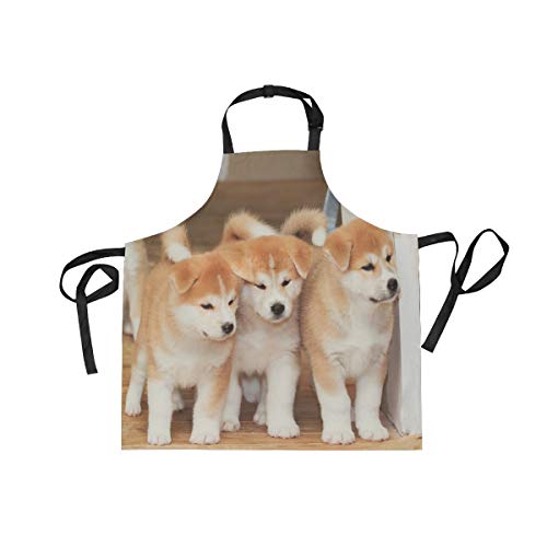 [SoreSore] \\ Gv p H^ 킢 Lb`Gv Č   Aj} 킢  O| | h |Pbgt  JtF ۈm ƒp Yp jp