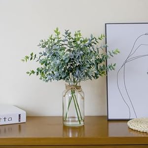 Fake Eucalyptus Stems in Glass Vase with Faux Water,14" Artificial Plants Eucalyptus Leaves for Home Office, Farmhouse and Wedding Centerpieces(Green) Fake Eucalyptus Stems in Glass Vase with Faux Water14 Artificial Plants Eucalyptus Leaves for Home Office Farmhouse and Wedding CenterpiecesGreen