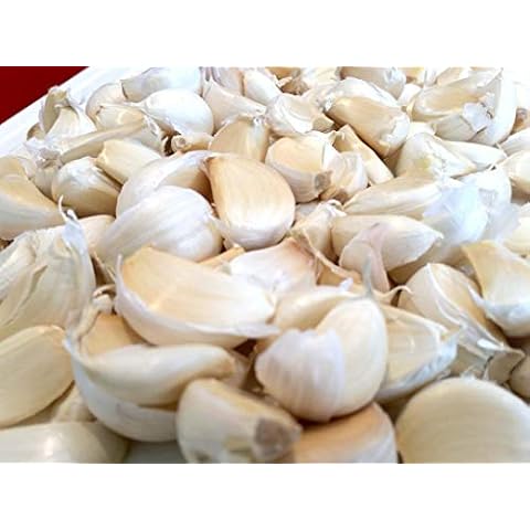 Live Seeds UK Garlic 'Provence Wight' 30 Cloves Cover
