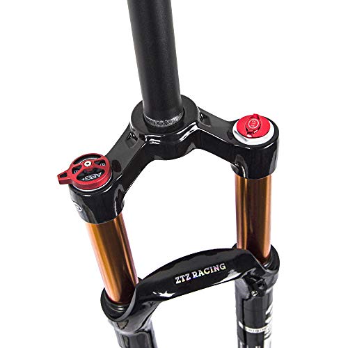 Bolany Mtb Fork Mountain Bike Suspension Fork，26/27.5/29 Inch Air Mountain Bike Suspension Fork Suspension Mtb Gas Fork 100Mm Travel Straight/Tapered Tube Bicycle Front Fork (26, Straight-Remote) #TOP3