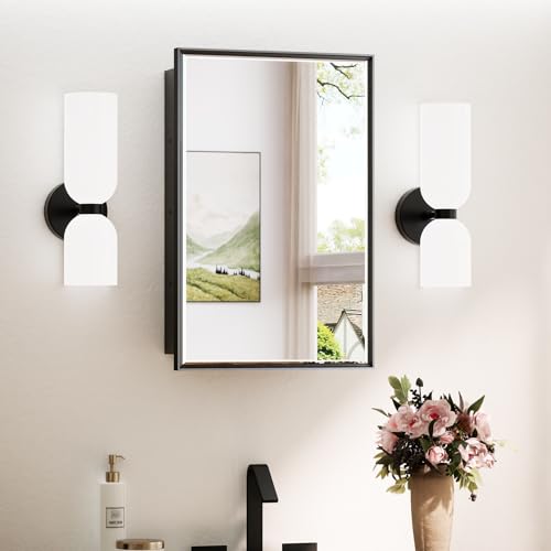 TokeShimi 17x25 Recessed Medicine Cabinet with Mirror Surface Mounted, Metal Beveled Mirror with Storage for Bathroom Vanity, Aluminum Black Medicine Cabinet Mirrored