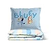Jay Franco Duvet Cover Set – 2 Piece Comforter Cover and Sham Set, Super Soft Cozy Kids Bedding (Insert Not Included) Multi - Bluey, Twin #3