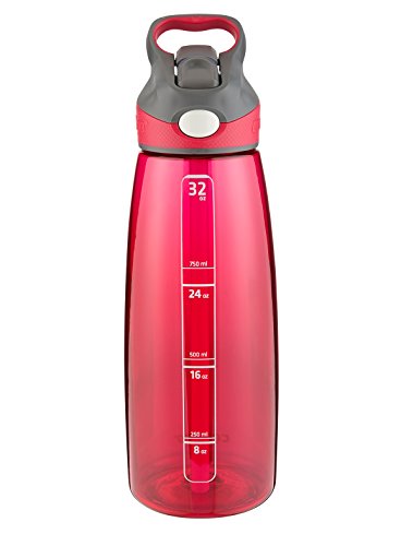 Contigo AUTOSPOUT Straw Addison Water Bottle, 32 oz, Sangria