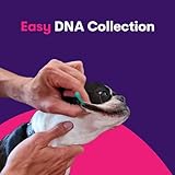 ORIVET GenoPet Dog DNA Test Kit | Breed Identification for 365+ Breeds & Mixed Breeds | Genetic Trait & Wellness Insights | Home Cheek Swab Kit | Dog DNA Test UK with Online Results in 3–4 Weeks - Image 4
