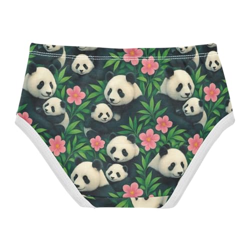 Joisal Funny Girls Underwear Toddler 2t Cotton Little Girl Panties Cute Giant Pandas Cubs Kids Briefs Undies2