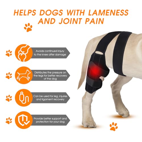 Image of Dog Knee Brace,Adjustable Dogs Rear Leg Braces for ACL with Cruciate Ligament Injury,Reduces Joint Pain and Muscle Sore Inflammation. (S)