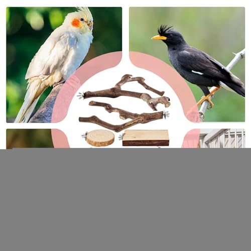 Perchoir pour perroquet contre l'ennui jouets bois anti-piquage oiseau - 5