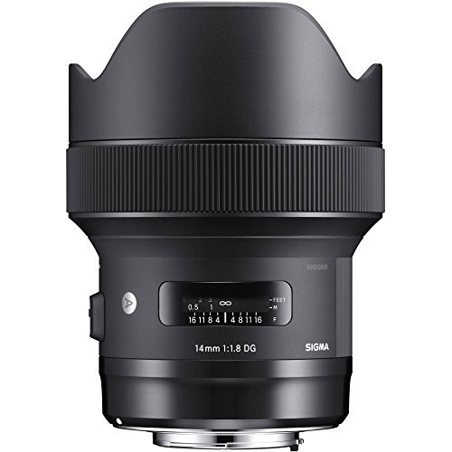Sigma 14-24mm lens