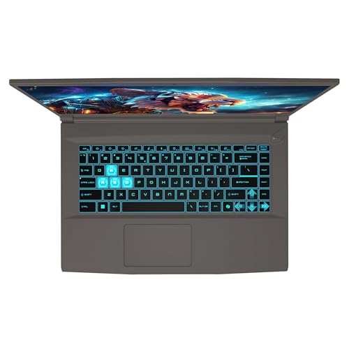 MSI Raider GE78 HX laptop
