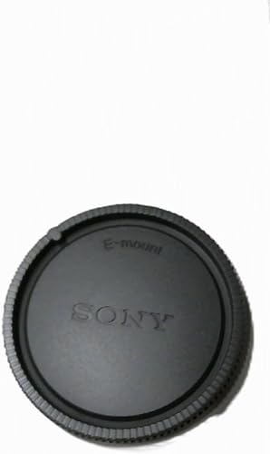 Sony XDR-V1BTD Portátil Marrón - Radio (Litio, Portátil, DAB, DAB+, FM, Batería,