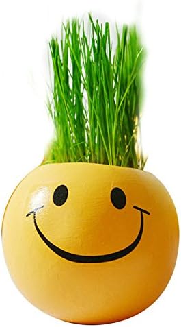Ceramique Emoji Cartoon Imprimer Flower Pot Avec Magic Herbe Plante Pot Herbe Semences Planteur Herbe Semences Croissante Planteurs De Tete Amazon Fr Jardin