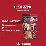 Fidofortis Hüft- und Gelenkergänzung für Hunde - Glucosamin, MSM, Boswellia Serrata für Gelenk- und Knochengesundheit, Pulver in Beuteln, tägliche Dosierung, 30-Tage-Vorrat (große Rassen)