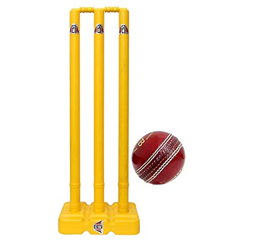 Kit de cricket pour entraînement complet pour progresser rapidement à la maison - 4