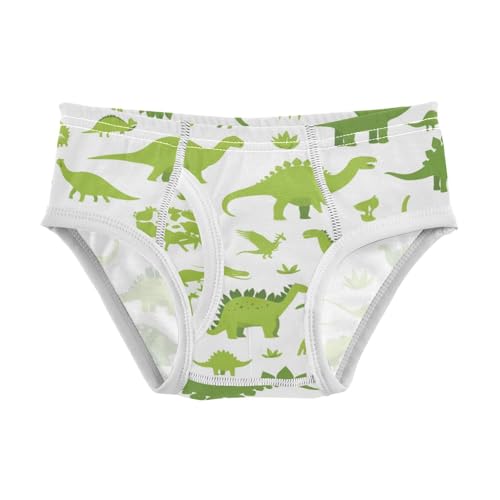 Dinosaurs Green Silhouette Toddler Boys' Comfort Kids Underwear Cute Children Undies