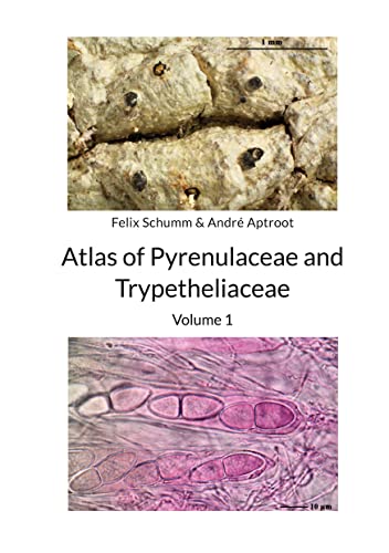 Atlas of Pyrenulaceae and Trypetheliaceae - Volume 1: Lichenized Ascomycota (English Edition)