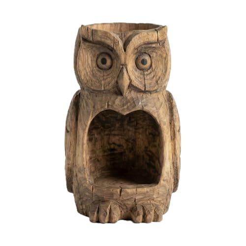 wild bird feeders owls