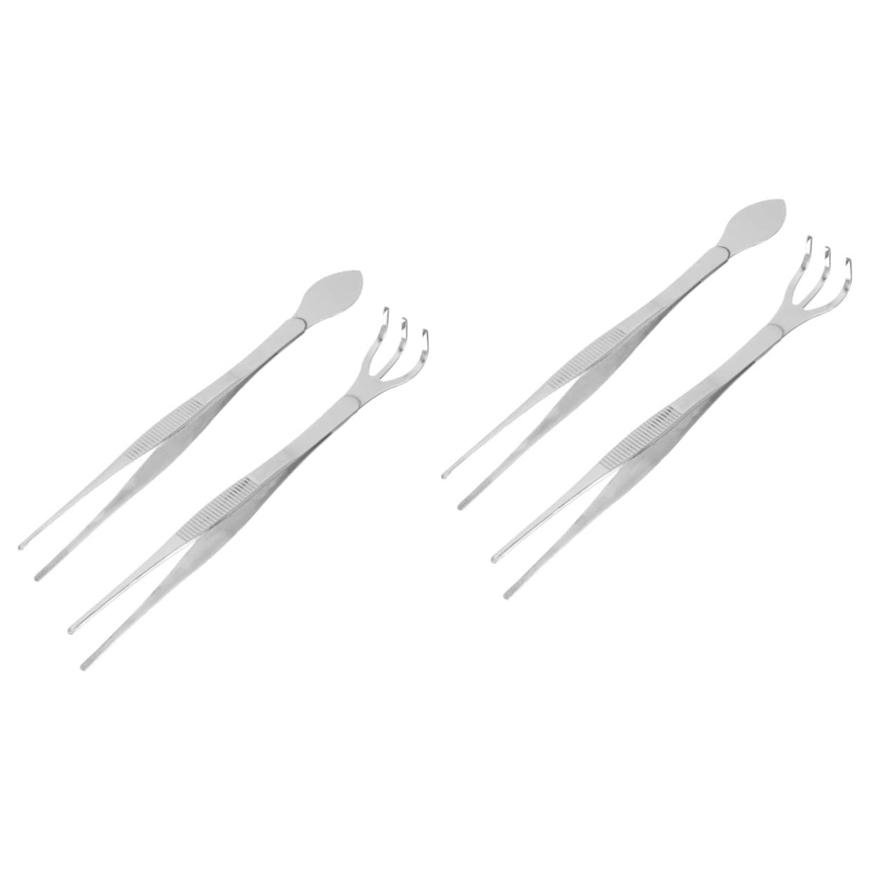 Sosoport 2sets Pinzette e Rastrello Inossidabile Per Bonsai Per Giardinaggio Per Raccogliere e