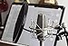 Neumann TLM 103 Large-Diaphragm Condenser Microphone for Studio Recording with On-Stage Stands MS7701B Mic Stand, Professional Grade XLR Cable and Microphone Pop Filter