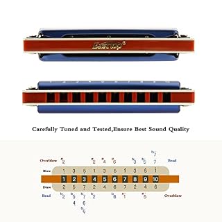 East top Harmonica adulte diatonique en Do 20 tons T008K avec étui bleu, Harmonica Blues Diatonique en do, harmonica… – Image 4