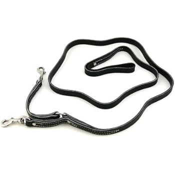 Prong leash Clearance
