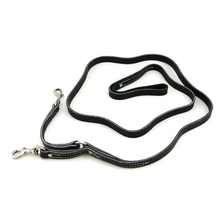 prong collar leash