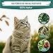 MC-Royal® Spot On Natürlicher Zeckenschutz für Katzen [6 Monate effektiver Schutz vor Zecken] Zeckenmittel für Katzen - Repellent gegen Zecken, Sofortschutz