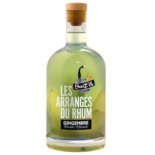 Breiz'Ile - Les arrangés du rhum - Gingembre/Menthe Glaciale - Punch au rhum - 28,0% Vol. 70cl