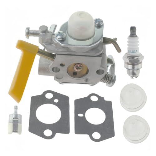 Carburateur RY26500 C1U-H60 compatible RY30000 RY09600 RY52001