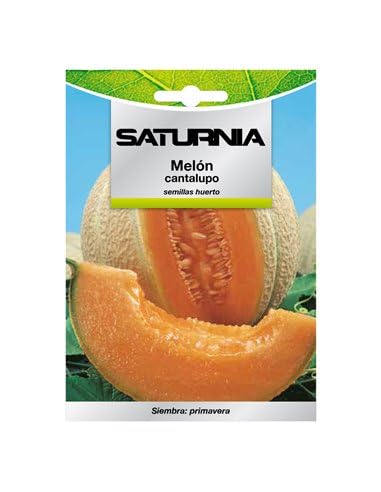SATURNIA Semillas Melon Cantalupo (3 Gramos) Semillas Frutas, Horticultura, Horticola, Semillas Huerto.