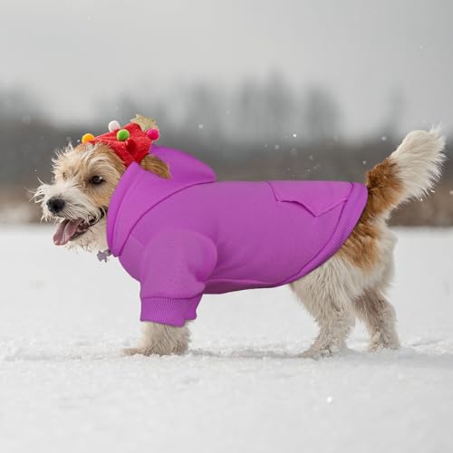 Image of Dog Sweaters for Small Dogs Dog Hoodie Solid Soft Brushed Fleece Clothes Hoodie Sweatshirt with Pocket(Purple-S)
