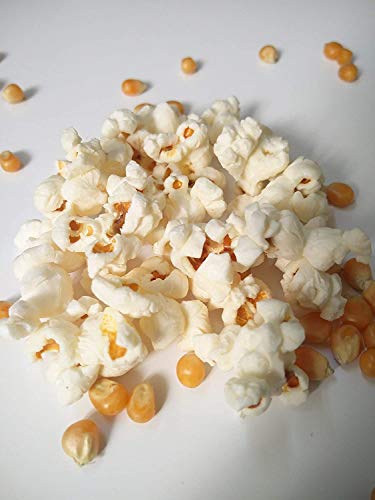 Image of Prizex Popcorn Kernels | Makai (GREAD-A) 500gm