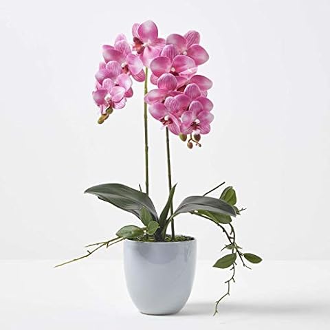 HOMESCAPES 54 cm Pink Orchid in Pot Cover