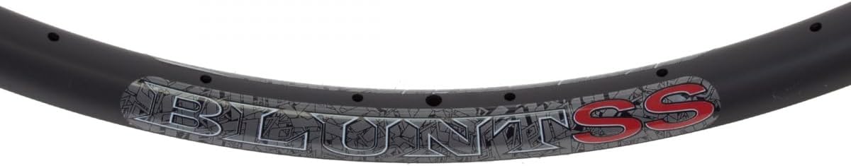 Velocity Blunt SS 29-inch Disc Rim
