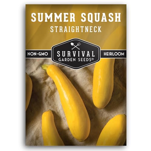 Yellow Straightneck Squash Seeds for Planting &ndash; Heirloom Straight Neck Summer Vegetable Seed...