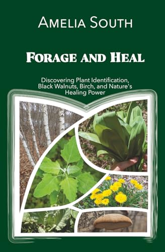 Forage and Heal: Discovering Plant Identification, Black Walnuts, Birch, and Nature's Healing Power