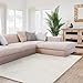 Produktbild Interiyou Fargo - Teppich Wohnzimmer 160x230 cm Creme - Kurzflor Waschbar und rutschfest - Flauschiger Fellteppich aus Kunstfell - weicher Langflor Fell