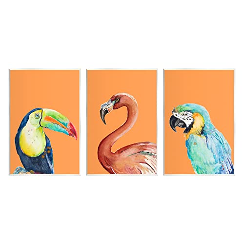 Stupell Industries Bold Tropical Birds Rainforest Animals Toucan Parrot 3pc set Wood Wall Art, Design by Patricia Pinto