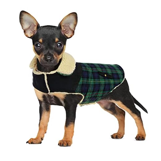 CITÉTOILE Abrigo para Perro, Chaleco de Invierno con Forro Polar Grueso, Ropa para Caliente para Perros pequeños/Medianos, Chaqueta de Perro cálida de Invierno, Abrigo Chihuahua Teckel, XS