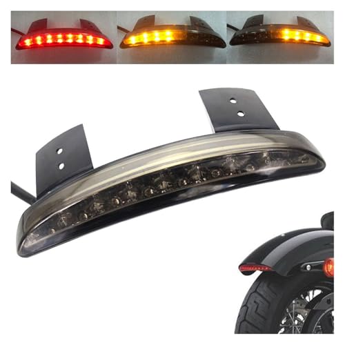 Guardabarros trasero con intermitente LED para sustitución en Iron 883 4